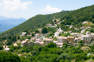 Lutte contre les nuisibles Ajaccio